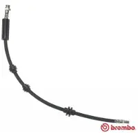 Brembo Jarruletku BREMBO T 23 033