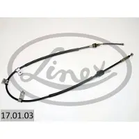 Linex Vaijeri, seisontajarru 17.01.03