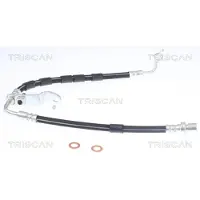 TRISCAN Jarruletku 8150 50119