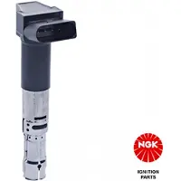 Ngk Sytytyspuola 48165