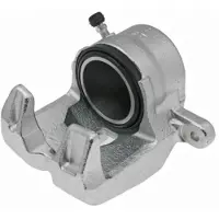 LAUBER Jarrusatula 77.4963