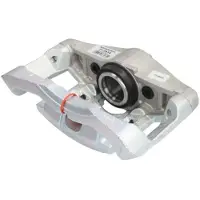 LAUBER 77.2938 - Jarrusatula