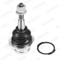 Moog Pallonivel VO-BJ-18543
