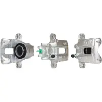 ELSTOCK 86-2456 - Jarrusatula