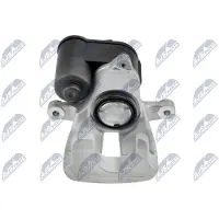 NTY Jarrusatula HZT-WW-047