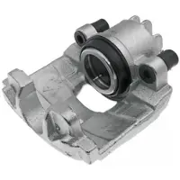 LAUBER Jarrusatula 77.4971