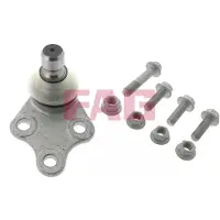 Fag Pallo-/ohjausnivel FAG 825 0250 10