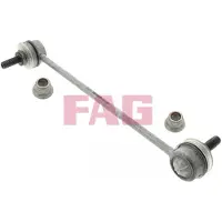 Schaeffler FAG Tanko, kallistuksenvaimennin 818 0132 10