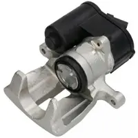 ABE Jarrusatula CZH1370