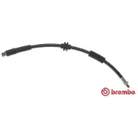 Brembo Jarruletku T 24 116