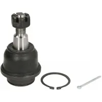 REINHOCH Pallonivel RH03-4025