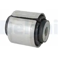 Delphi Tukivarren hela TD1746W