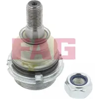 Schaeffler FAG Ball Joint