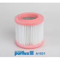 PURFLUX Ilmansuodatin A1831