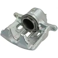LAUBER Jarrusatula 77.0247