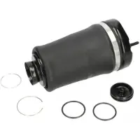 KAVO PARTS Ilmajousi, jousitus SAS-10004