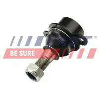 Fast Sports Nutrition Ball Joint