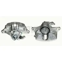 BUDWEG CALIPER Jarrusatula , 343325