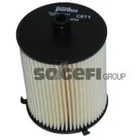 PURFLUX Polttoainesuodatin PURFLUX C811