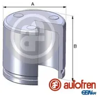 AUTOFREN SEINSA brake calliper piston