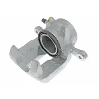 ABE Jarrusatula CZH1519