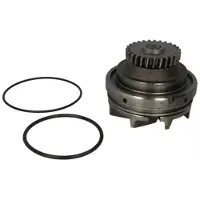 THERMOTEC Vesipumppu, moottorin jäähdytys WP-RV115