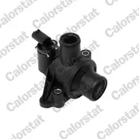 CALORSTAT by Vernet Thermostat, coolant