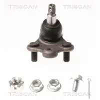 TRISCAN Pallonivel 8500 40536