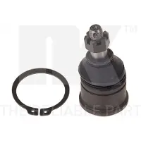 NK Pallonivel 5042604