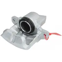 LAUBER Jarrusatula 77.2463