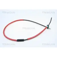 TRISCAN Vaijeri, seisontajarru 8140 251117