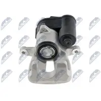 NTY Jarrusatula HZT-WW-046
