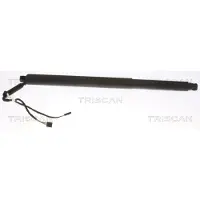 TRISCAN Kaasujousi, tavaratila 8710 29312