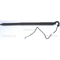 TRISCAN Kaasujousi, tavaratila 8710 11306