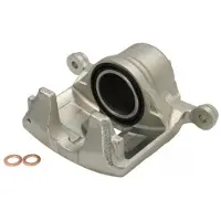 ABE Jarrusatula CZH2357
