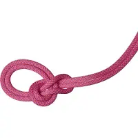 Mammut 9.5 Crag Dry Rope Duodess 60m