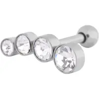 Wildcat 4 Round Crystals Right<!--640db79cbb187--> - Hopeinen metalli