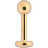 Wildcat Golden Titan Labret -lävistyskoru - 1,6 mm, 8,0 mm, 4,0 mm