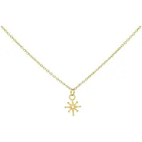Wildcat Polar Star Necklace - kaulakoru - Kultainen metalli