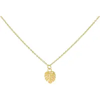 Wildcat Monstera Leaf Necklace - kaulakoru - Kultainen metalli