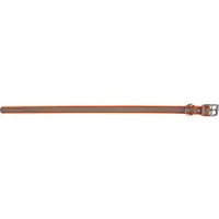 Grännakopplet Dog collar 19mm 45-55cmOrange