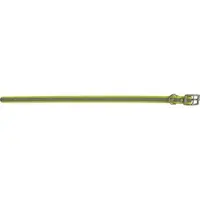 Grännakopplet Dog collar 19mm 45-55 cm Neon Yellow