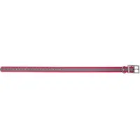 Grännakopplet Dog collar 25mm 55-65cm Neon pink