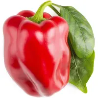 Click and Grow Smart Garden Refill 3-pack - Sweet red peppers