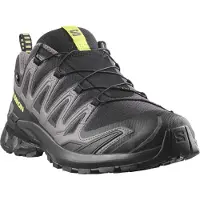 Salomon Xa Pro 3d V9 Gore-tex Polkujuoksukengät