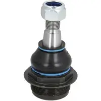 REINHOCH Pallonivel RH03-2026