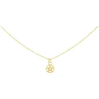 Wildcat Little Pentagram Star Necklace - Kaulakoru - Kultainen metalli