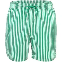 Calvin Klein Uimashortsit kuusi / valkoinen
