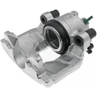 LAUBER Jarrusatula 77.5379