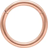 Wildcat Hinged Ring - saranallinen lävistysrengas (titaani) - 1,0 mm, Ruusukultainen metalli, 14,0 mm